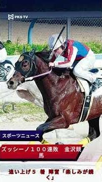 ズッシーノ１００連敗 金沢競馬、追い上げ５着 陣営「楽しみが続く」#ズッシーノ #金沢競馬 #連敗記録 #競馬ニュース #追い上げ