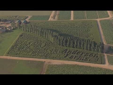 Anderson Farms creates 25-acre corn maze in Colorado