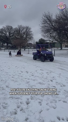 Hilarious Snow Tubing Mishap When a Pup Joins the Party! ❄️🐾 | 5-Minute Crafts