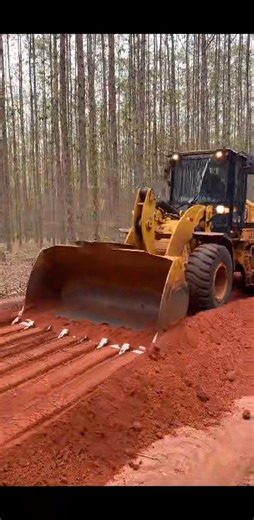 plant operator job 了了了了了了了了了了 | VETA shinyanga students | Facebook