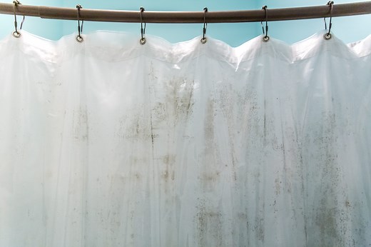 How to remove 10 months of mould from your shower curtain in 45 minutes
