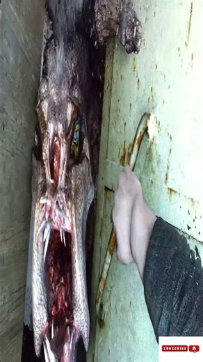 REDUX #gameplay is TERRIFYING! 😱 First-Time Playthrough (No Commentary)