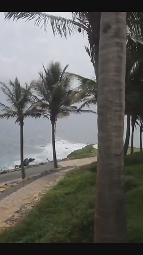 New Epstein island video released