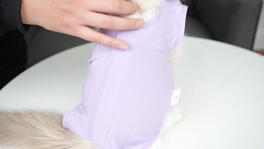 Cat surgical recovery onesie suit