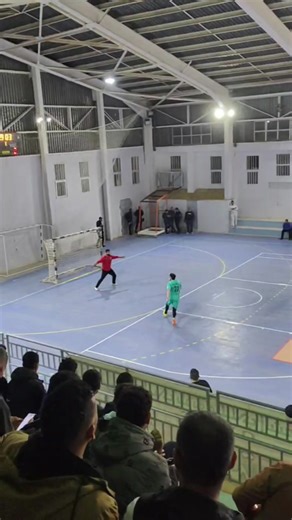 ☝🏻🇪🇪 #handball #obmc #fyp #algeria #leftwing