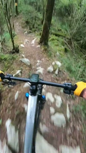 New toy! Scott Spark 2027! #mtb #mtb #scott