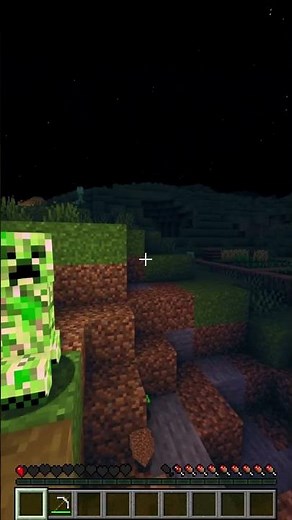 POV: You just built a house in Minecraft