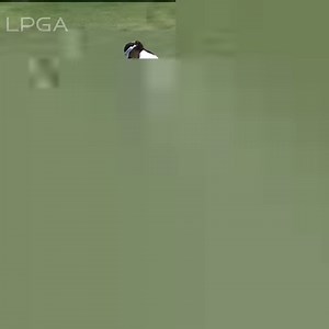 369K views · 1.9K reactions | Keep an eye on Lydia Ko and her putter  ⛳️ | LPGA | Facebook