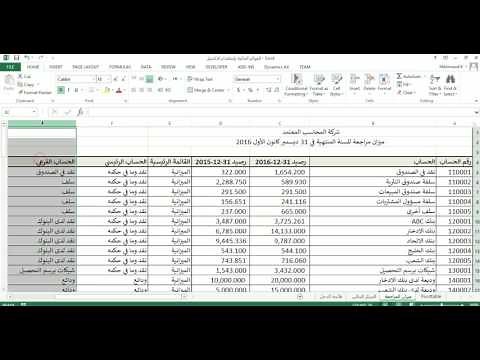 دورة اعداد القوائم المالية باستخدام الاكسيل الجزء الثاني