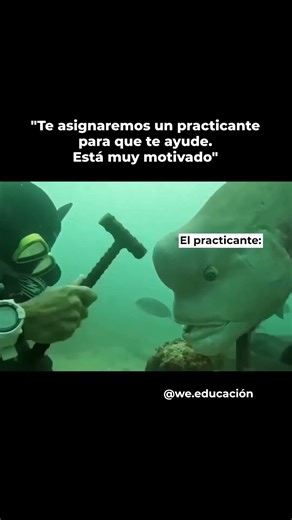 #practicante #memes