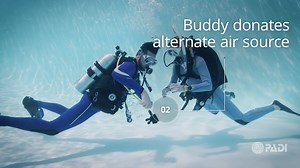 Can you remember what steps to take if you find yourself out of air? | PADI