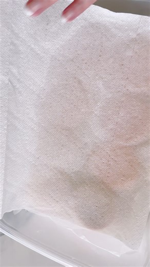 Those grease marks aren’t mistakes; they’re proof the paper towel is catching butter bleed before it stains the cookie surface. I always place cookies on paper towels right after cooling, and even while I’m decorating, to prevent butter bleed. And no, doing this does not affect the taste or texture of the cookies. It just helps ensure the decorated result will be flawless. Do you use this trick too? #decoratedcookies #sugarcookies #cookiedecorator #butterbleed #sugarcookie #cookier #fblifestyle 