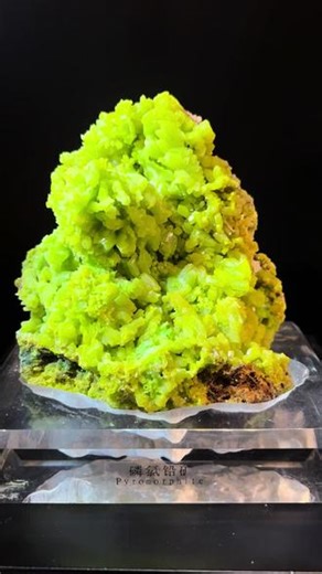磷氯铅·pyromorphite.广西为什么及其稀有？主要是因为其形成条件苛刻、形成时间漫长以及晶体保存困难，具体如下：1️⃣形成条件苛刻：磷氯铅矿是铅锌矿床氧化带的次生产物，由地表水与方铅矿等原生矿物相互作用形成。它需要特定的温度、酸碱度等环境条件，如广西矿区需在15摄氏度的恒温、pH值7.3的弱碱性环境中才能形成，这种精确的条件在自然界中并不常见。2️⃣形成时间漫长：磷氯铅矿通常形成于