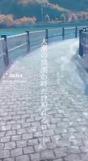 大潮の満潮で、さらに潮位が高い時だけお目見えするロード。 #ヒ#ヒューマンビーチ長瀬潮#潮見表海#海ク#クレイトンベイホテル広#広島旅 #旅 #海e#BeautyPlus色#景色色#景色綺麗島#広島県江田島市