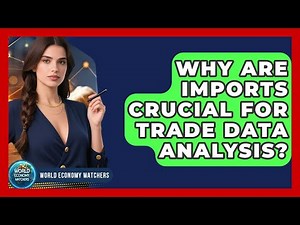 Why Are Imports Crucial For Trade Data Analysis? - World Economy Watchers