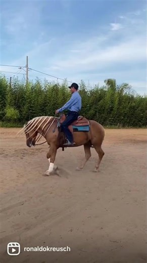 The man cut the horse's hair #horse #hairstyle #cowboys #horsetrack