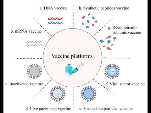 mRNA Vaccines and Viral Vector Vaccines Mechanism of Action
