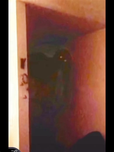 That's a shadow entity or a demon, a watcher, observer, extraterrestrial, interdimensional, other worldly, off world, God knows what kind of entity, but it's there, it exists!!! #nightmarefuel #interdimensional #demon #cryptid #foryou