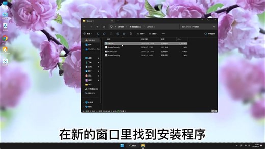 新手必看！完美的Canoco 5安装教学，超级简单Canoco 5新手课程！