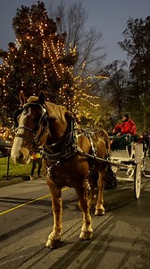 32K views · 1.6K reactions | Take a carriage ride with us at Christmas at the Library! | Billy Graham Library | Facebook
