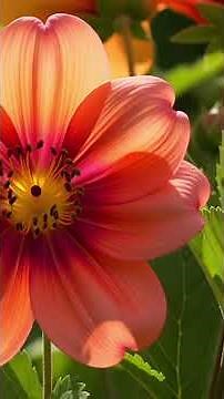 The moment spring changes everything 🌸 #firstdayofspring #hope #transformation