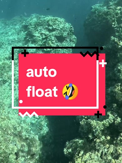 She tried to dive like a pro… but her body said “Nope, we’re inflatable now!” 🤣 She basically hit auto-float mode and the ocean yeeted her straight back to the surface like a giant pool toy 😂🌊 #AutoFloatMode #OceanSaidNope #InflatableEnergy #BigGirlBuoyancy #UnstoppableFloat
