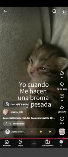 #butifyoucloseyoureyes #funny