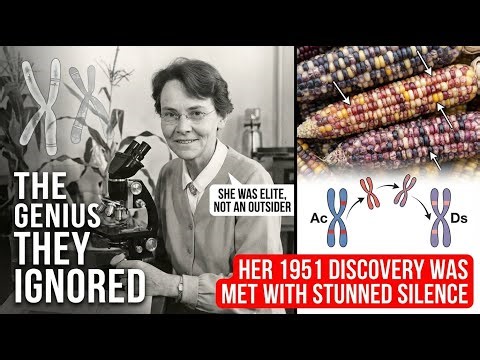 Barbara McClintock Was Called Impossible. What Her Data Really Showed.