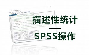 描述性统计——spss操作
