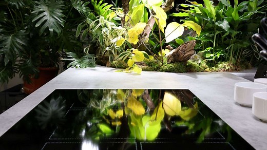 Induction platform EGO Gx - E.G.O.-Group