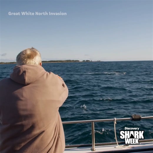 Nothing like a shark breach to shake your nerves before a dive 😅🦈 Catch Great White North Invasion TONIGHT at 8p as #SharkWeek continues all week on Discovery! | Shark Week