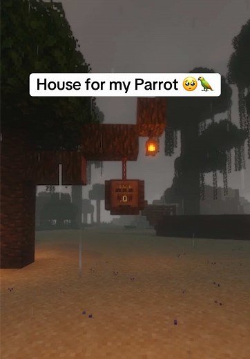 Building a Cozy House for Your Parrot in Minecraft
