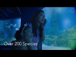 Explore The Underwater World | VGP Marine Kingdom | Biggest Aquarium In The India