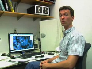 The Highs and Lows of EGFR