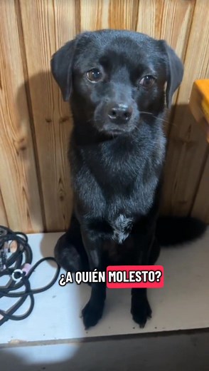 🤭🤭❤️ #fblifestyle | Movie Linee