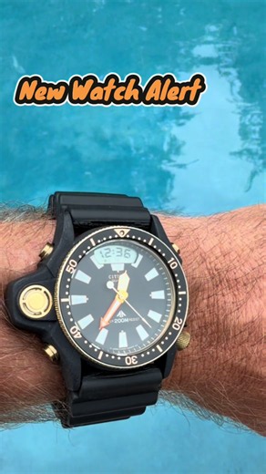 Citizen C029 Aqualand: The Stunning Black and Gold Watch