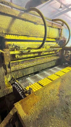 Automatic Egg Tray Making Machine: Industrial Pulp Molding Process