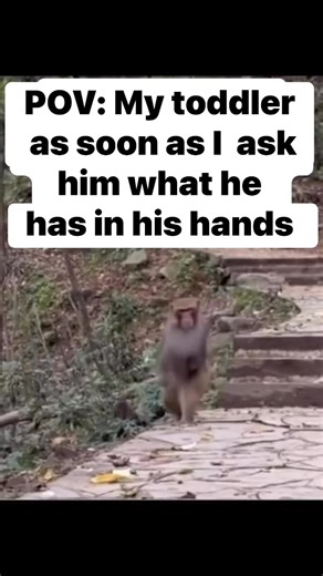 Always running 😂😂 | The Constant Family