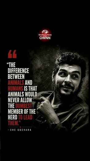 Who Was Che Guevara? The Revolutionary Who Changed History Forever