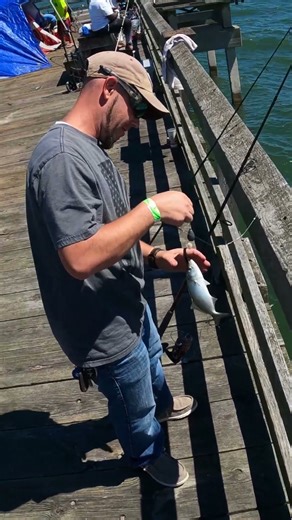Bluefish Ocean View Fishing Pier VA