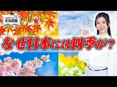 日本の季節は何で決まる？ #ウェザーニュース天気図鑑 #気団
