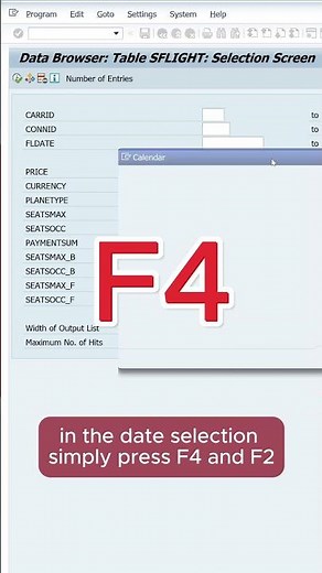 Quickly insert current date in SAP GUI #sapgui #sap #date