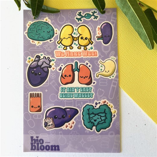 Biomedical Organ Sticker Sheet – Anatomy Vinyl Stickers - Etsy