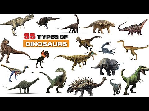 55 Dinosaur names in english with pictures | Learn Dinosaur Names | Dinosaurs Vocabulary