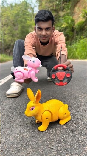Amar Notun 1ta small rabbit vs 1 big Rc Remote Control Rabbit Unboxing