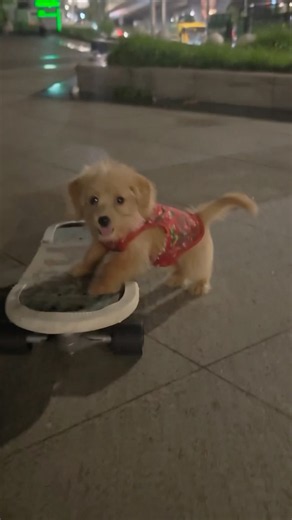 The cutest little skater boy 🥹❤️
