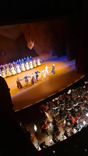 #opera and #ballet forever 😍🥰✨️ #chalamet @operadeparis