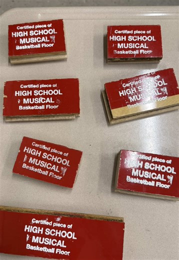 High School Musical: A Journey Through the Sequel