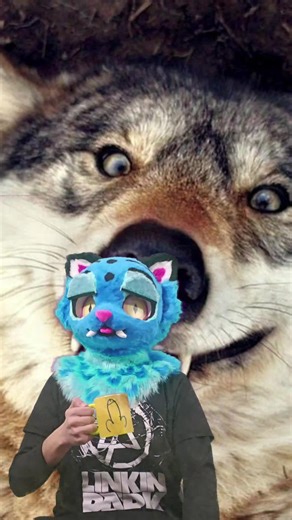 Discover the Amazing World of Wolves