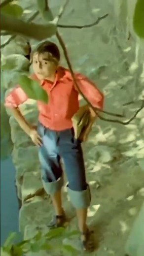 #shorts ما حمال ها اینجوری هستیم دیگه